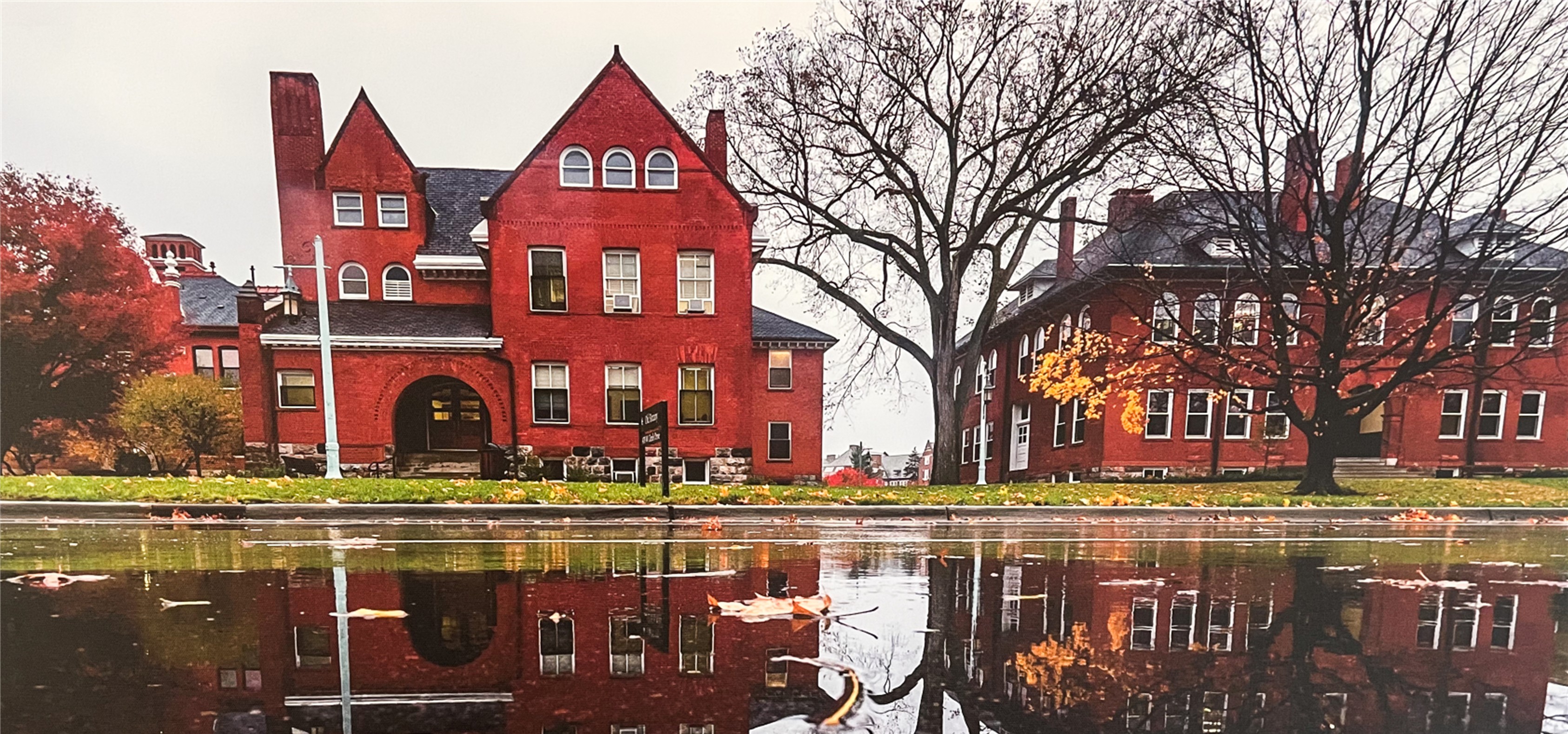 Image of fall leaves on MSU campus.