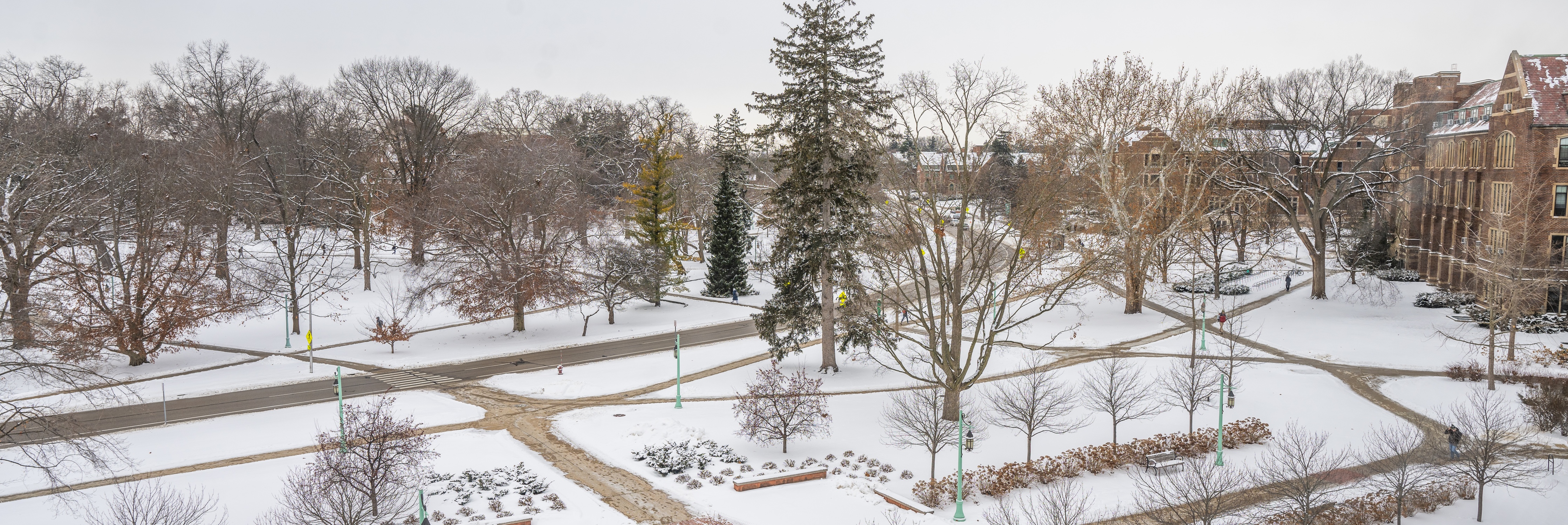Graphic with the text Congratulations, Amy! Thank you for your outstanding contributions and for playing a vital role in advancing Michigan State University's research mission.  Your hard work and dedication are truly appreciated.