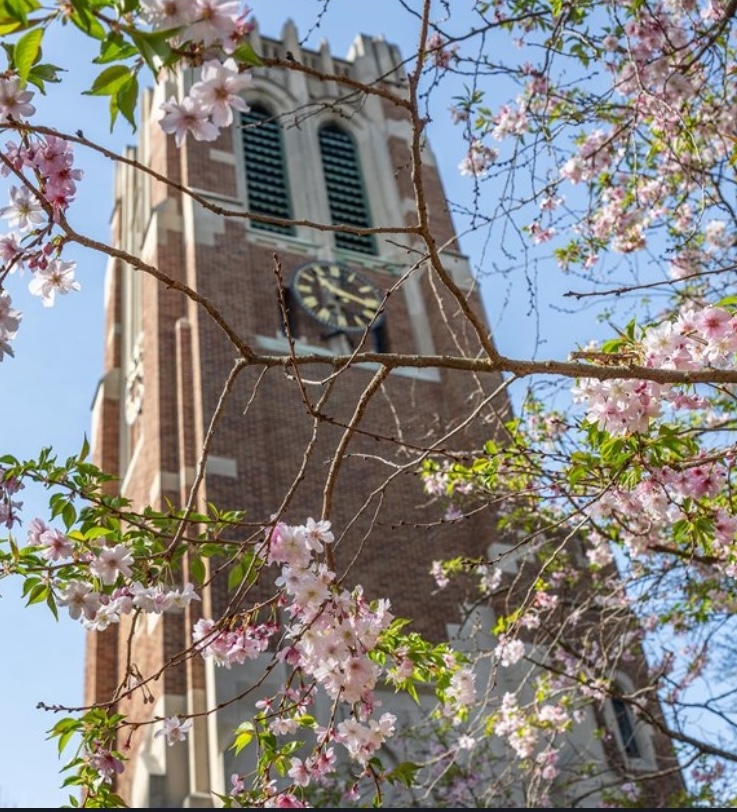 Image of spring blooms at Beaumont Tower.