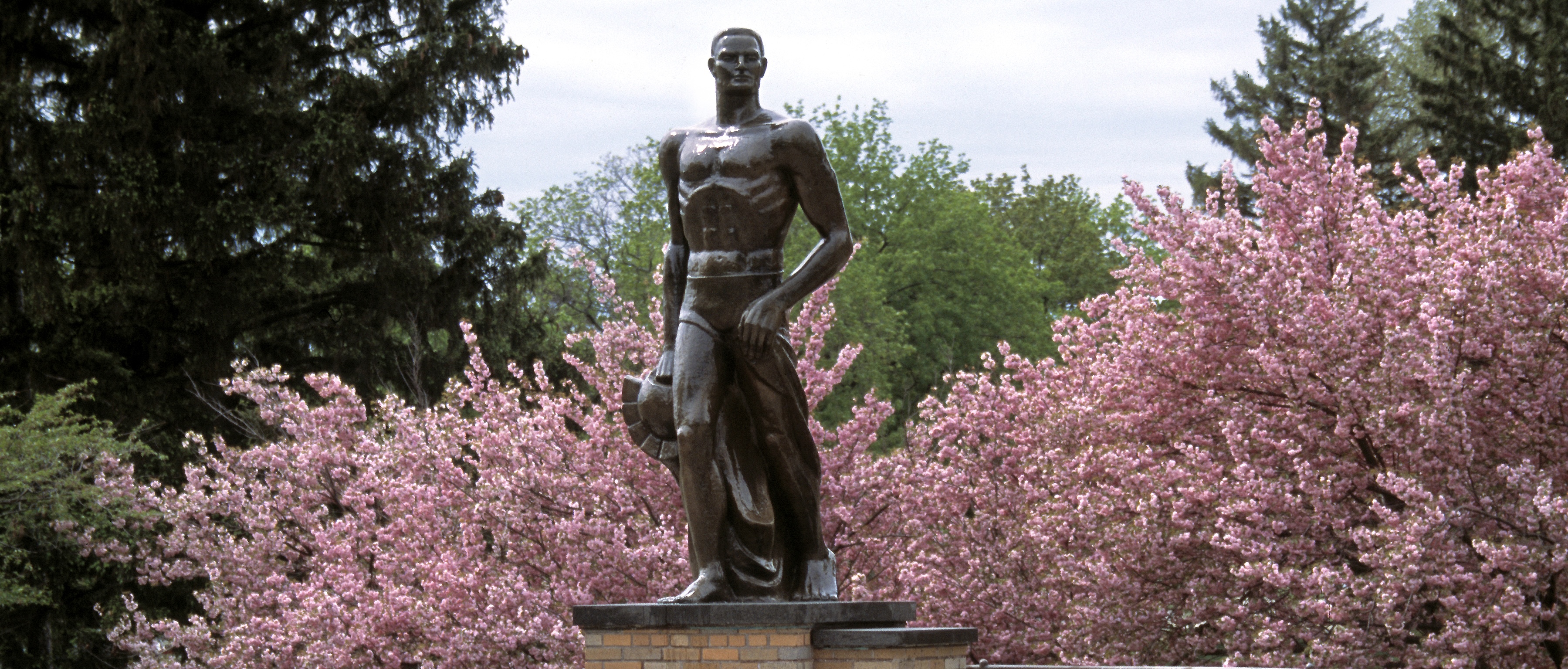 Image of Sparty statue with spring blooms around him.